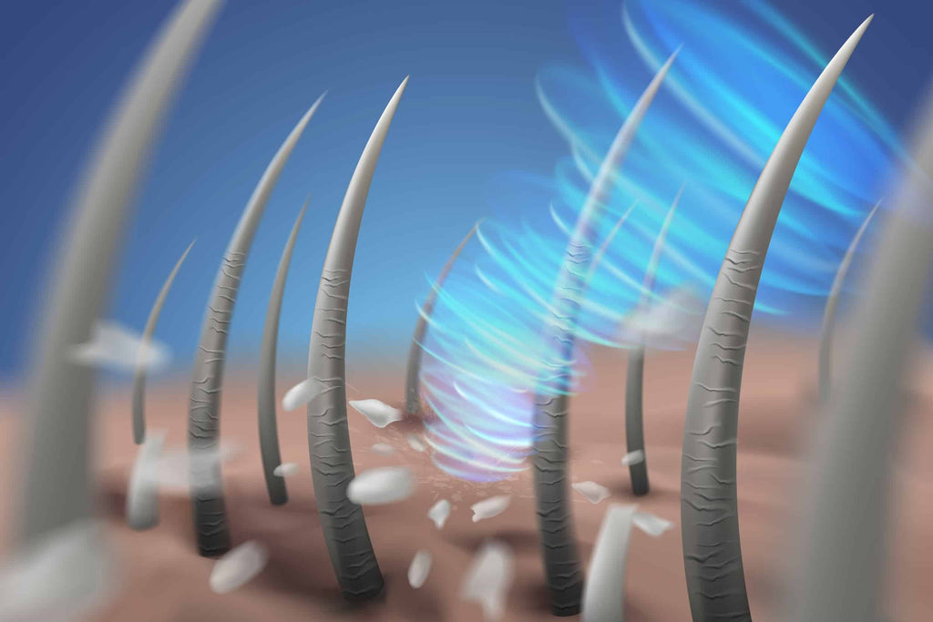 SCALPURE (dandruff removal therapy)